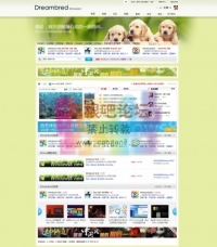 半透明水母风格背景下载›宠物-动物保护