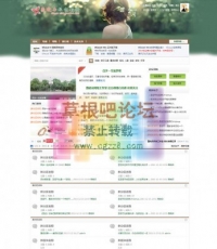 薇晓朵清新绿色风格 1.0社区版 DZ学习研究交流